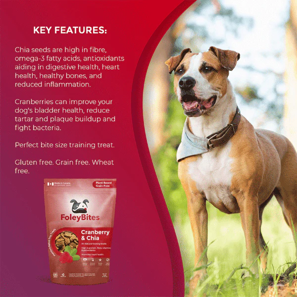 Foley Bites Cranberry & Chia Premium Baked Dog Treats - Image 7
