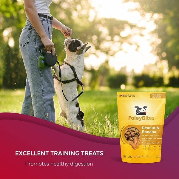 Foley Bites Peanut & Banana Premium Baked Dog Treats - Image 4