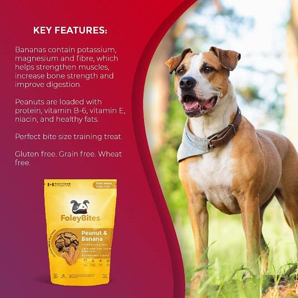 Foley Bites Peanut & Banana Premium Baked Dog Treats - Image 5