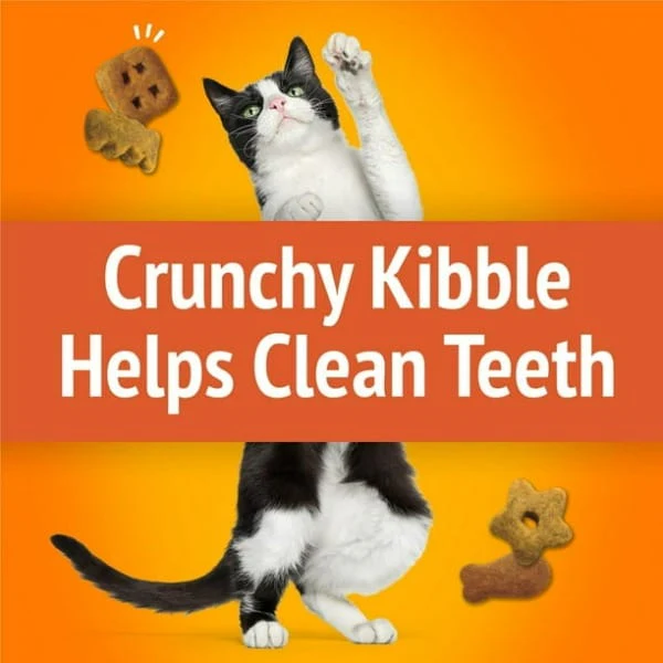 Friskies Party Mix Original Crunch Cat Treats - Image 3