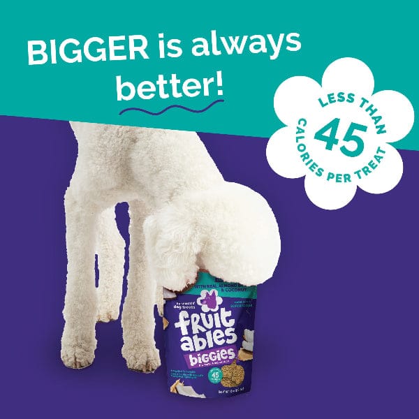 Fruitables Biggies Almond Butter & Coconut Dog Treats - Image 6