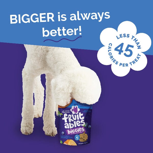 Fruitables Biggies Pumpkin & Blueberry Dog Treats - Image 7