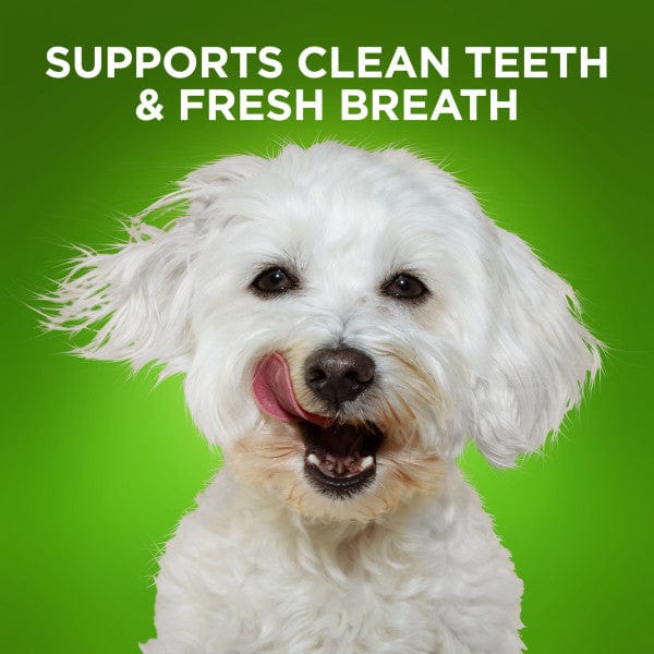 Fruitables Bioactive Fresh Mouth Dental Chews - Image 3