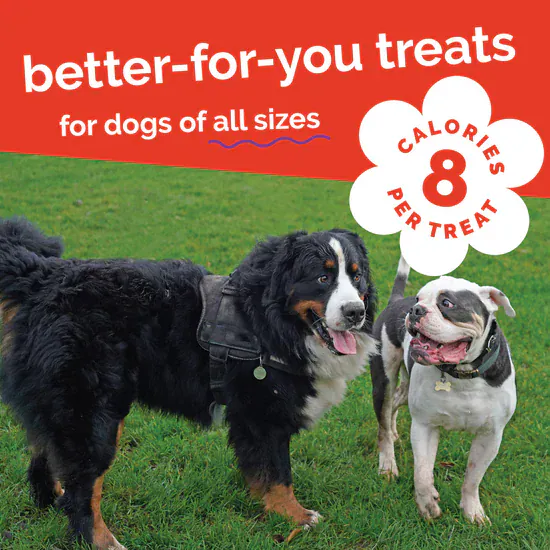 Fruitables Baked Crispy Bacon & Apple Dog Treats - Image 8