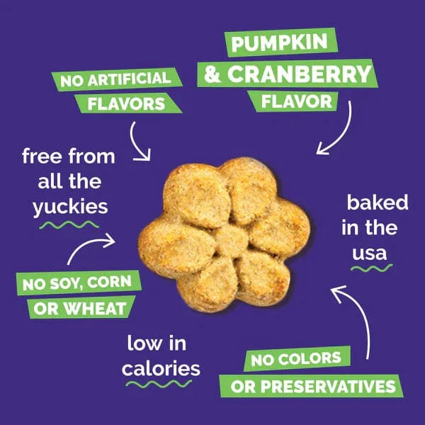 Fruitables Baked Pumpkin & Cranberry Dog Treats - Image 4