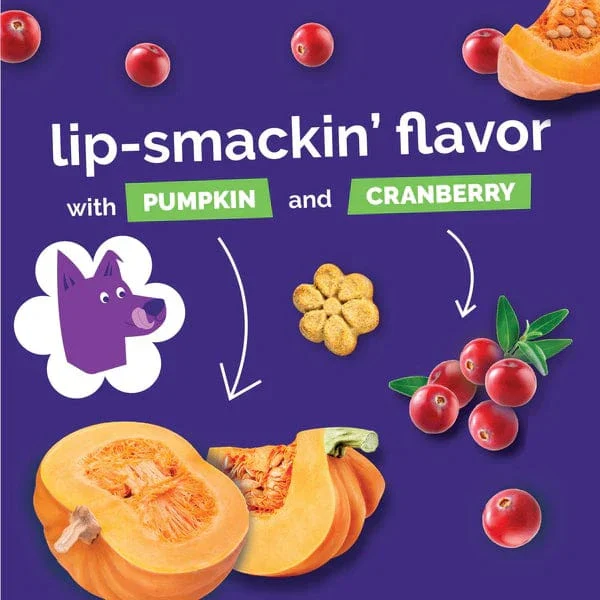 Fruitables Baked Pumpkin & Cranberry Dog Treats - Image 6