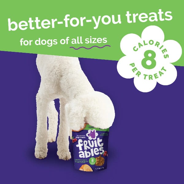 Fruitables Baked Pumpkin & Cranberry Dog Treats - Image 7