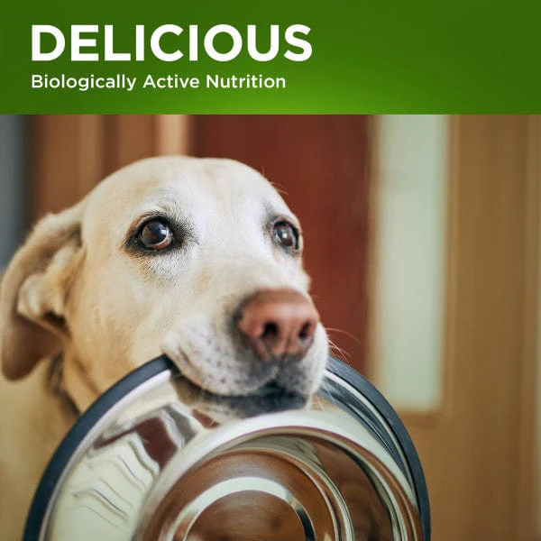 Fruitables Switch Food Transition Supplement for Dogs & Cats - Image 8