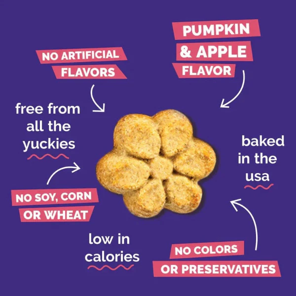 Fruitables Baked Pumpkin & Apple Dog Treats - Image 4