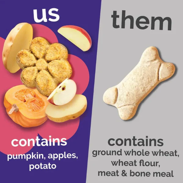 Fruitables Baked Pumpkin & Apple Dog Treats - Image 5