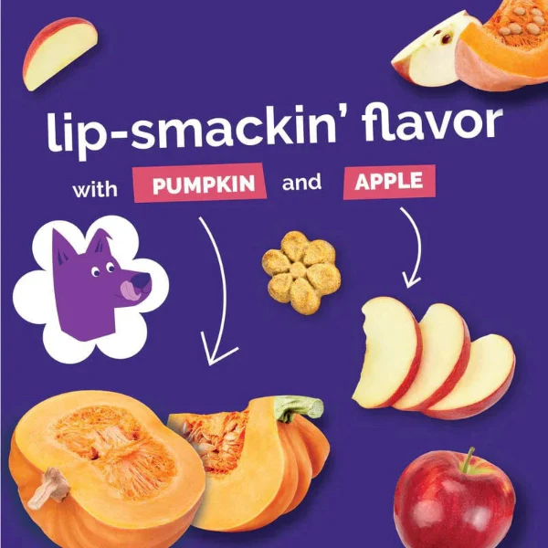 Fruitables Baked Pumpkin & Apple Dog Treats - Image 6