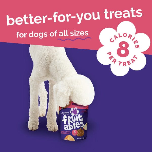Fruitables Baked Pumpkin & Apple Dog Treats - Image 7