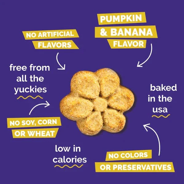 Fruitables Baked Pumpkin & Banana Dog Treats - Image 3
