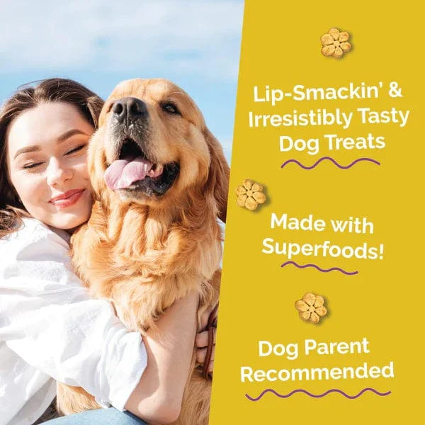 Fruitables Baked Pumpkin & Banana Dog Treats - Image 4