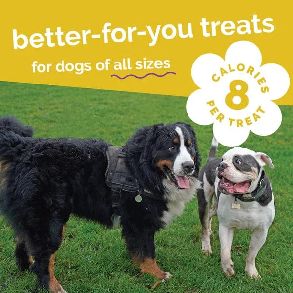 Fruitables Baked Pumpkin & Banana Dog Treats - Image 6