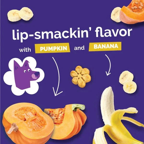 Fruitables Baked Pumpkin & Banana Dog Treats - Image 7