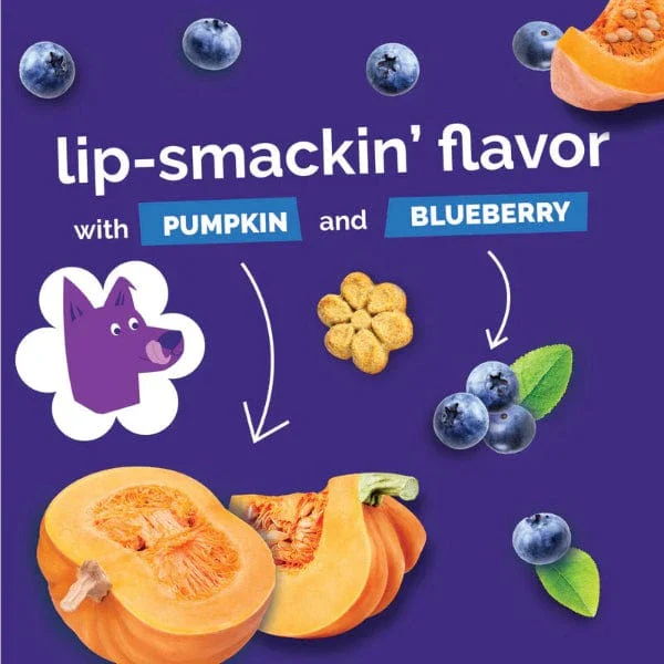 Fruitables Baked Pumpkin & Blueberry Dog Treats - Image 7