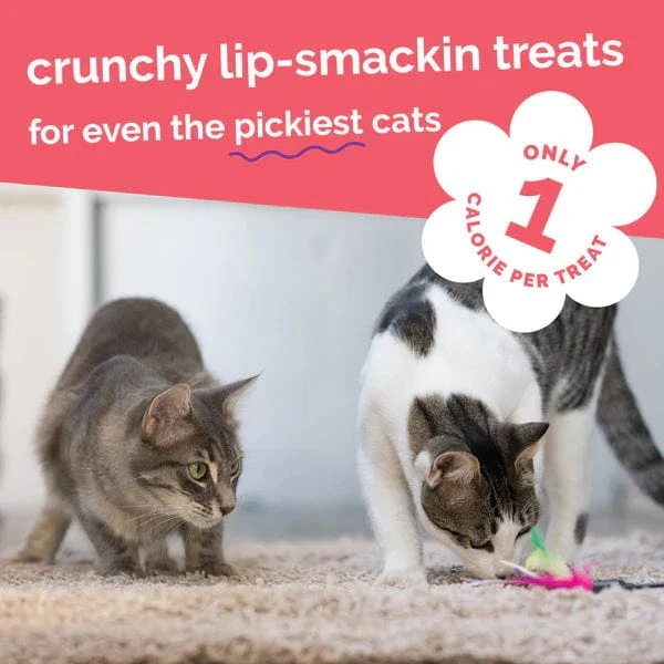 Fruitables Salmon Flavor with Cranberry Cat Treats - Image 6