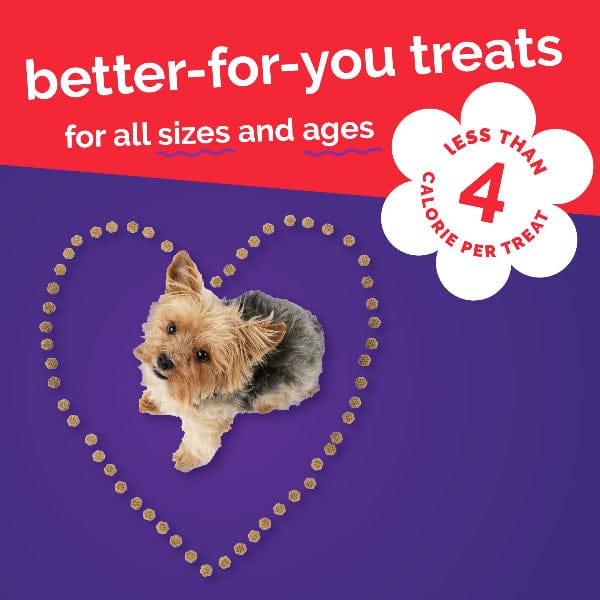 Fruitables Skinny Minis Apple Bacon Flavor Dog Treats - Image 6