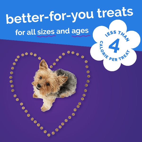 Fruitables Skinny Minis Pumpkin & Berry Flavor Dog Treats - Image 8