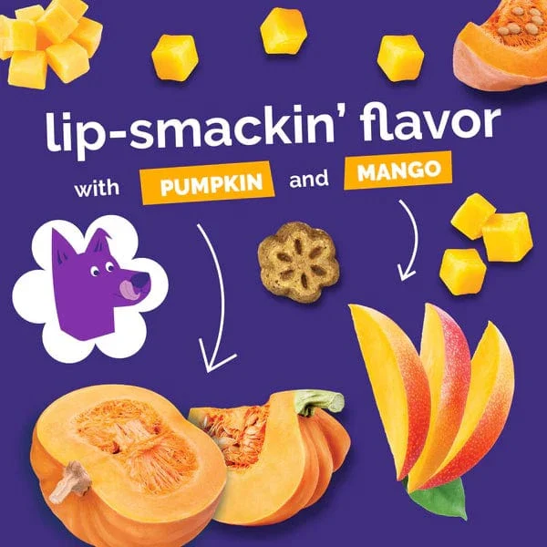 Fruitables Skinny Minis Pumpkin & Mango Flavor Dog Treats - Image 7