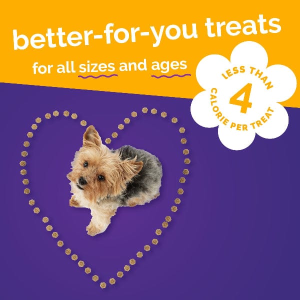 Fruitables Skinny Minis Pumpkin & Mango Flavor Dog Treats - Image 8
