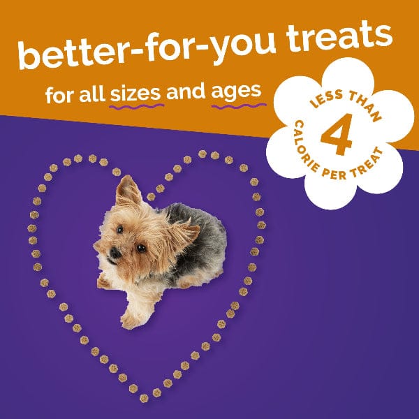 Fruitables Skinny Minis Rotisserie Chicken Dog Treats - Image 8