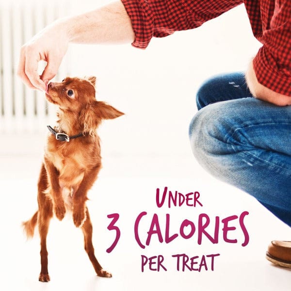 Fruitables Skinny Minis Watermelon Flavor Dog Treats - Image 3