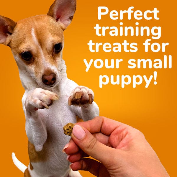 Fruitables Skinny Minis Watermelon Flavor Dog Treats - Image 5