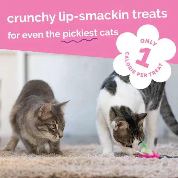 Fruitables Tuna Flavor with Pumpkin Cat Treats - Image 6