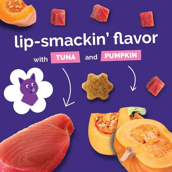 Fruitables Tuna Flavor with Pumpkin Cat Treats - Image 7