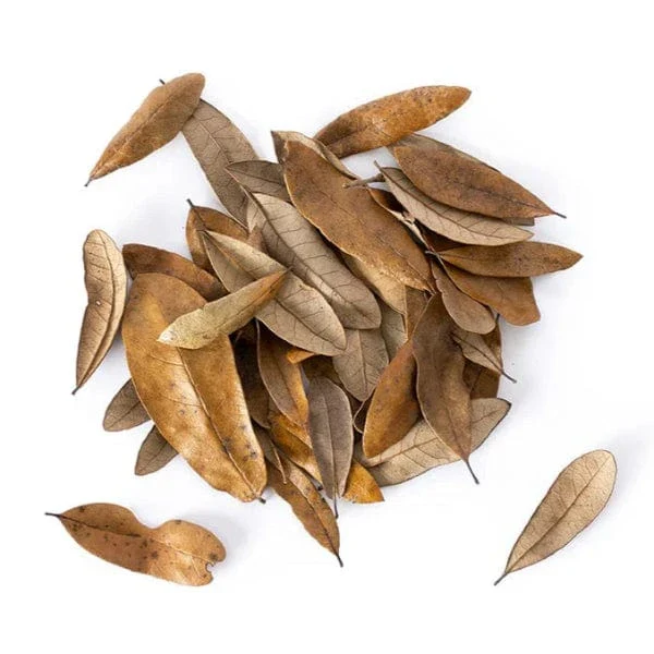 Galápagos Natural Live Oak Leaf Litter - Image 2
