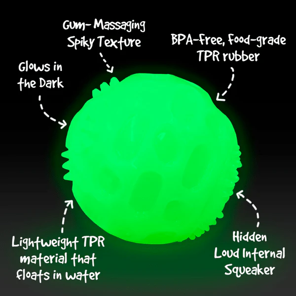 Gnawsome Glow in the Dark Squeaker Ball - Image 2