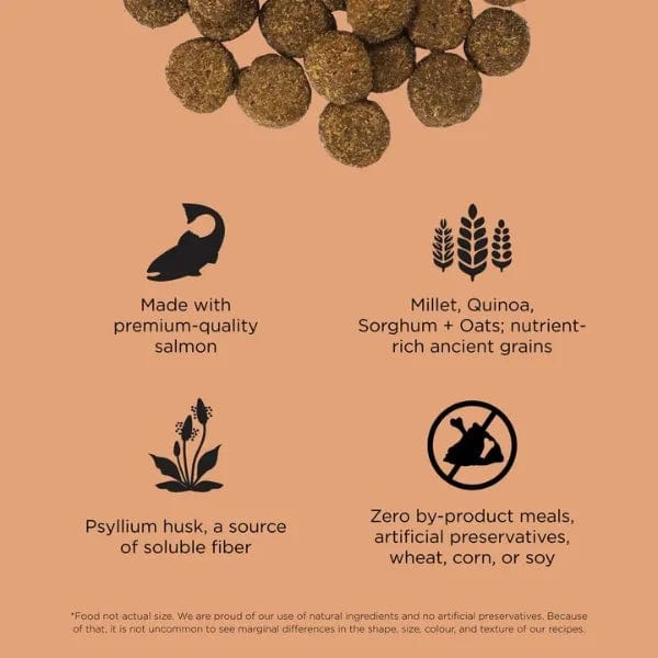 Go! Solutions Digestion + Gut Health, Salmon Recipe with Ancient Grains Dry Dog Food - Image 2
