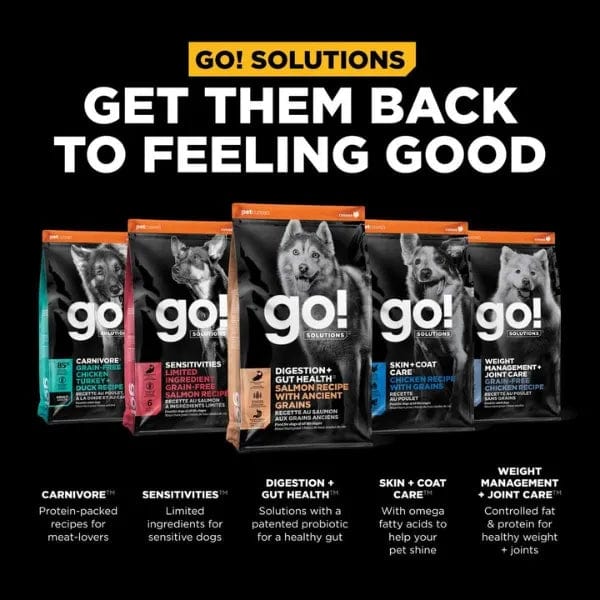 Go! Solutions Digestion + Gut Health, Salmon Recipe with Ancient Grains Dry Dog Food - Image 5