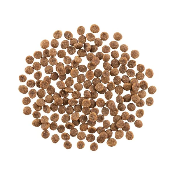 Go! Solutions Hairball Control + Urinary Care, Chicken Recipe with Grains Dry Cat Food - Image 2