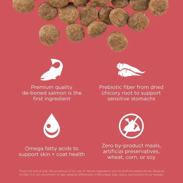 Go! Solutions Sensitivities Limited Ingredient Grain Free Salmon Recipe Dry Dog Food - Image 2