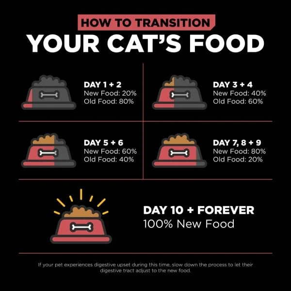 Go! Solutions Sensitivities Limited Ingredient Grain Free Salmon Recipe Dry Cat Food, 6lb - Image 4