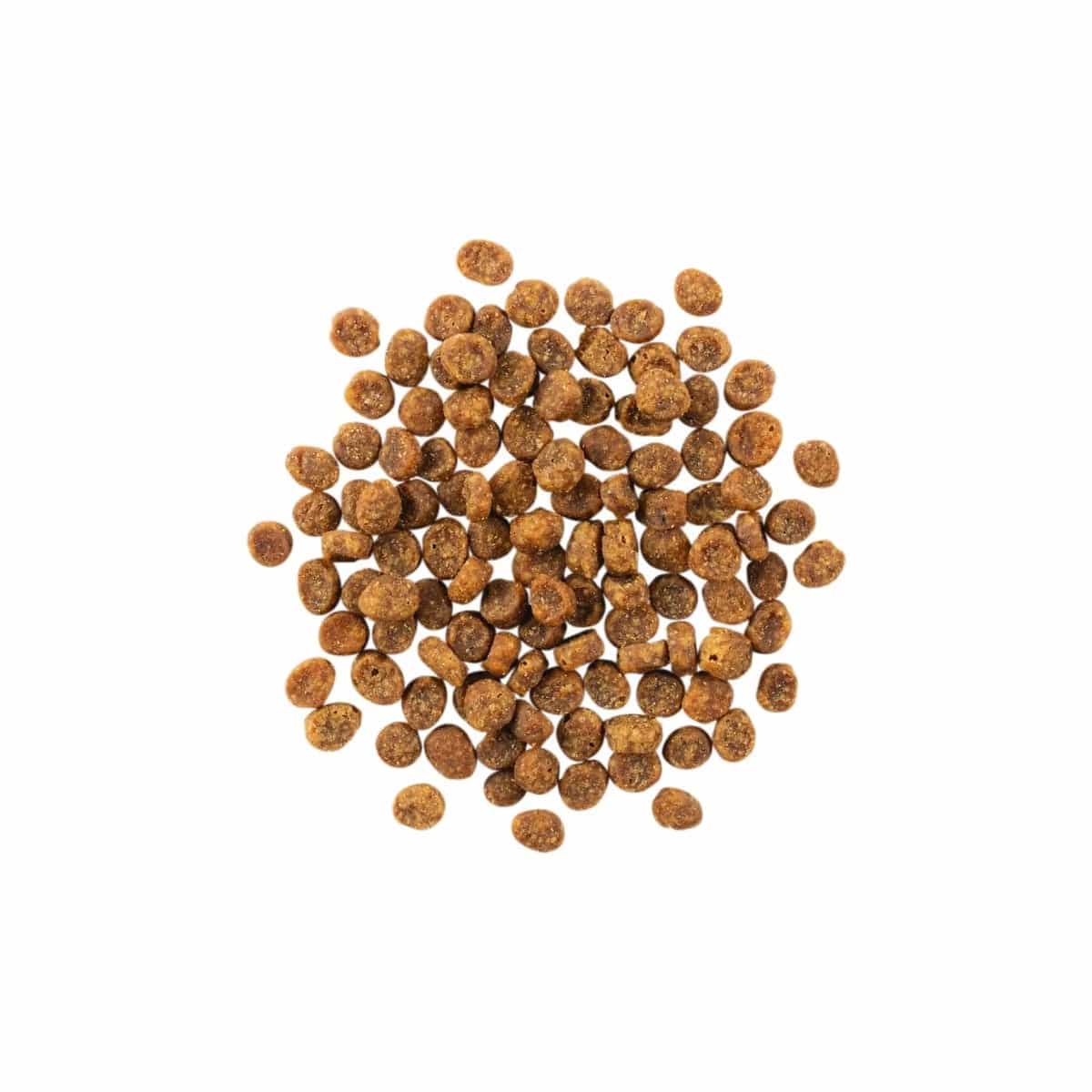 Go! Solutions Sensitivities Limited Ingredient Grain Free Salmon Recipe Dry Cat Food, 6lb - Image 5