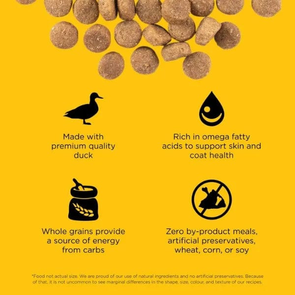 Go! Solutions Skin & Coat Care Duck Recipe with Grains Dry Dog Food - Image 2
