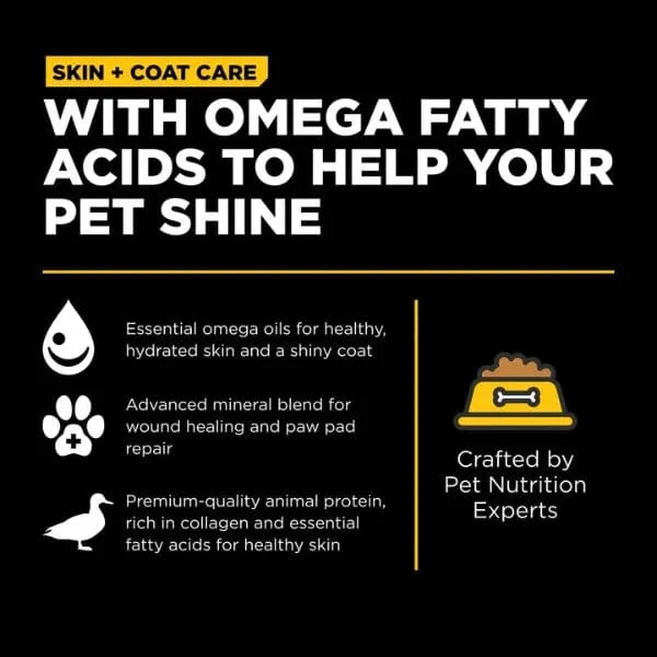 Go! Solutions Skin & Coat Care Duck Recipe with Grains Dry Dog Food - Image 3