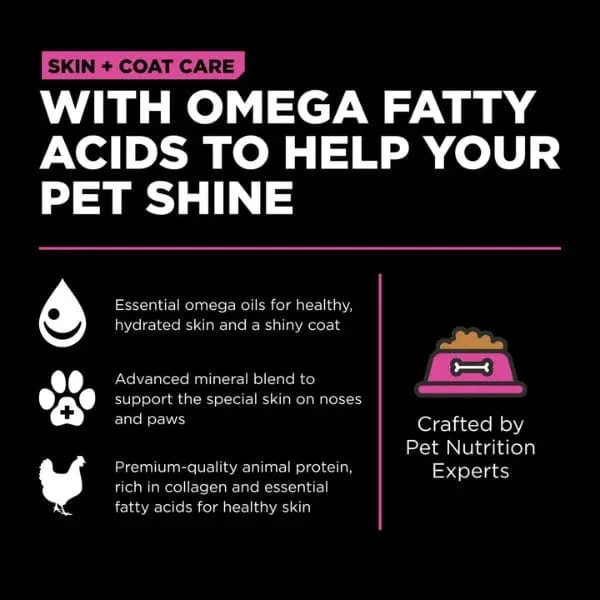 Go! Solutions Skin & Coat Care Chicken Recipe with Grains Dry Cat Food - Image 3