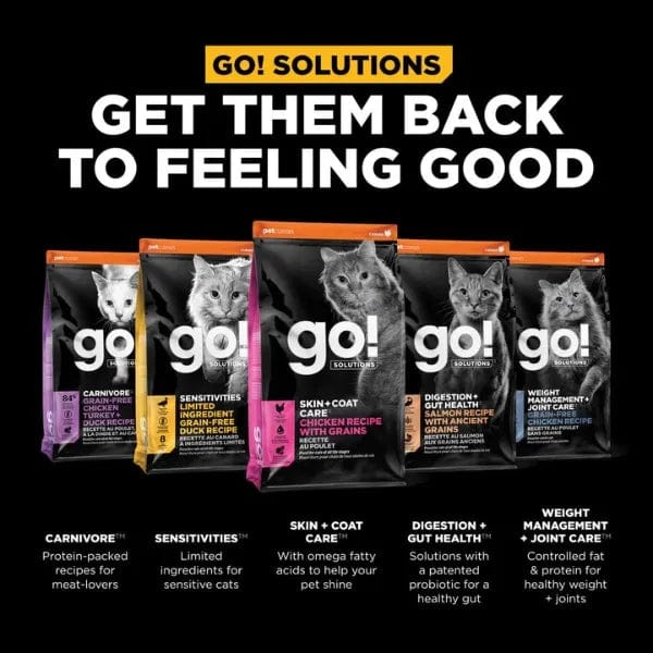 Go! Solutions Skin & Coat Care Chicken Recipe with Grains Dry Cat Food - Image 6