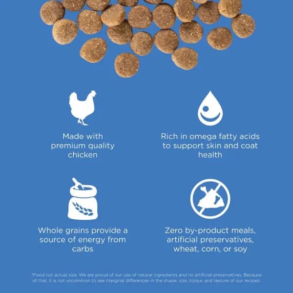 Go! Solutions Skin & Coat Care Chicken Recipe with Grains Dry Dog Food - Image 2