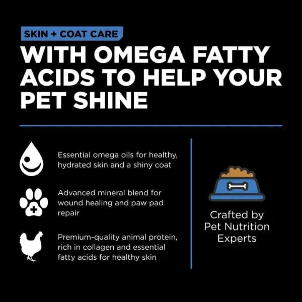 Go! Solutions Skin & Coat Care Chicken Recipe with Grains Dry Dog Food - Image 3