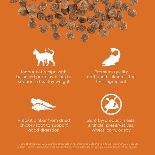 Go! Solutions Skin & Coat Care Grain-Free Salmon Recipe Dry Cat Food - Image 2