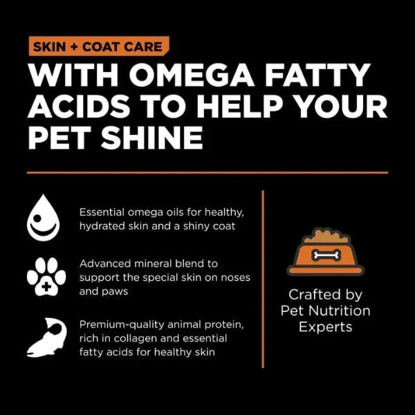 Go! Solutions Skin & Coat Care Grain-Free Salmon Recipe Dry Cat Food - Image 3