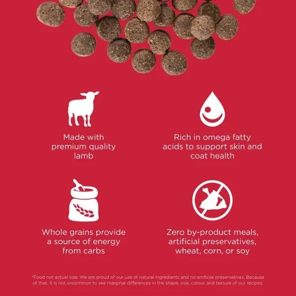 Go! Solutions Skin & Coat Care Lamb Recipe with Grains Dry Dog Food - Image 2