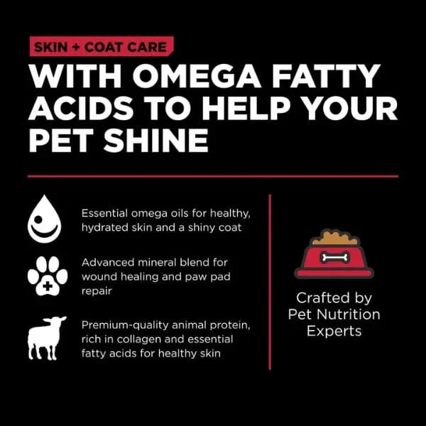 Go! Solutions Skin & Coat Care Lamb Recipe with Grains Dry Dog Food - Image 3