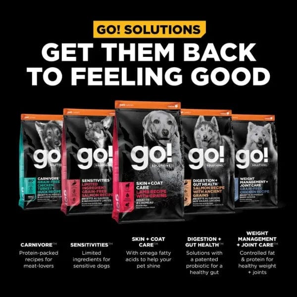 Go! Solutions Skin & Coat Care Lamb Recipe with Grains Dry Dog Food - Image 6